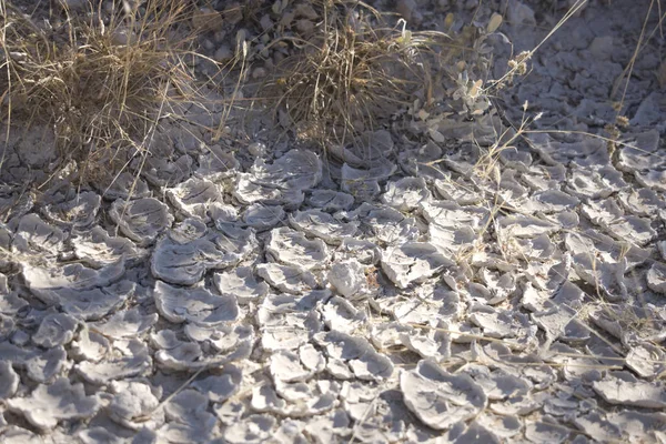 Dried Cracked Ground Africa — Stock Photo, Image