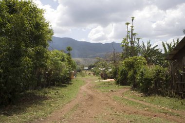 Güneşli bir bahar gününde Etiyopya manzara