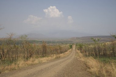 Güneşli bir bahar gününde Etiyopya manzara