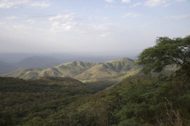 Güneşli bir bahar gününde Etiyopya manzara
