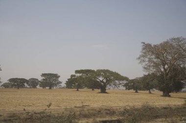 Güneşli bir bahar gününde Etiyopya manzara