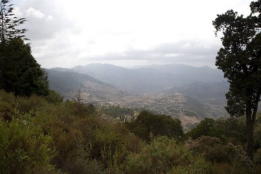 Güneşli bir yaz gününde Etiyopya manzarası