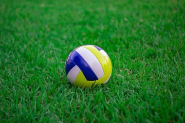 yeşil çim üzerinde voleybol. Yeşil çimde Plaj Voleybolu.