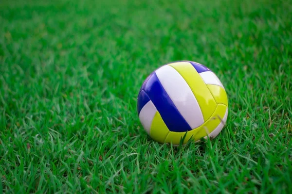Volleyball auf dem grünen Rasen. Beachvolleyball auf grünem Rasen. Stockbild
