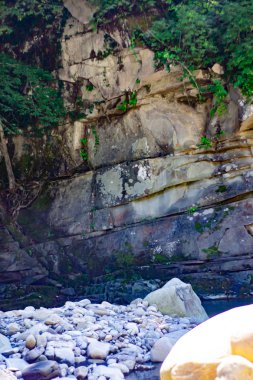 güzel bir yaz, Altay Dağları, Rusya'nın dağ nehir manzarası