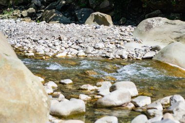 Taşlar arasında akan fırtınalı bir dağ nehrinde ve Kafkas Dağları'nın ormanlık ormanı arasında bir şelalenin güneşli bir gününde manzara.
