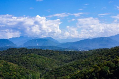 Noel ağaçlarıyla kaplı dağlar bulutlu mavi gökyüzüne karşı. Güzel panoramik manzara mavi gökyüzüne karşı kozalaklı orman.