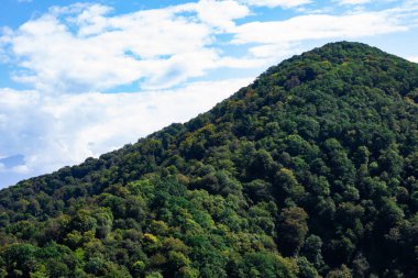 Noel ağaçlarıyla kaplı dağlar bulutlu mavi gökyüzüne karşı. Güzel panoramik manzara mavi gökyüzüne karşı kozalaklı orman.