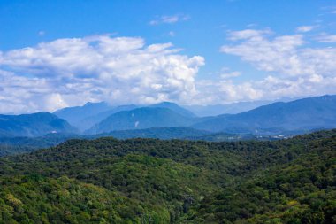 Noel ağaçlarıyla kaplı dağlar bulutlu mavi gökyüzüne karşı. Güzel panoramik manzara mavi gökyüzüne karşı kozalaklı orman.