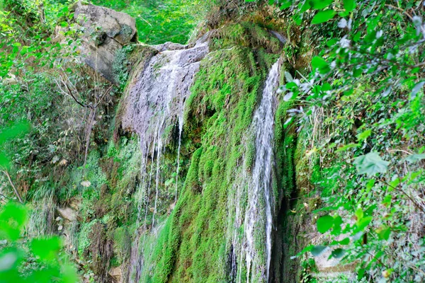 Cascada de ravine.waterfall del río de la montaña. corriente rápida —  Fotos de Stock