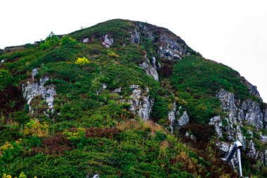 Denize ve gökyüzüne bakan yeşil ağaçlarla kaplı dağlar
