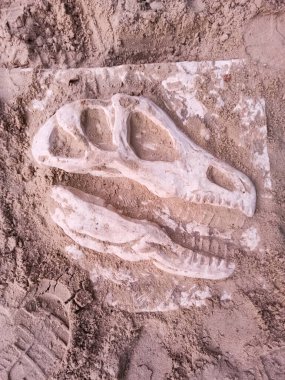 Taganrog; Rusya-08 Temmuz 2020: Geç Jurasik dönem / 156-145 milyon yıl önce. Dinopark 'ta.