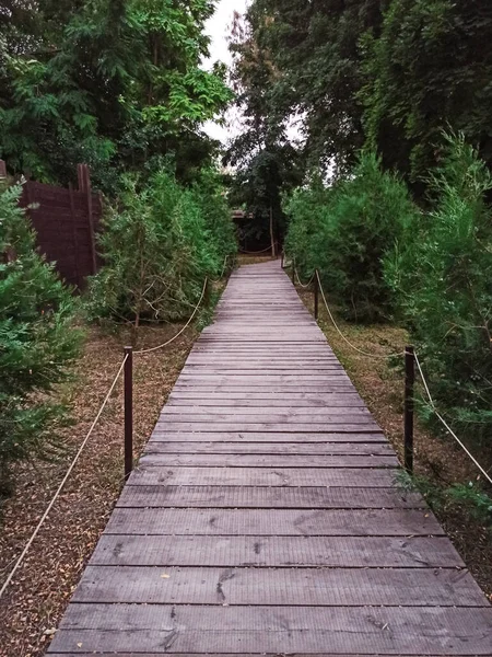 The bridge is made of wooden boards. The road from wooden boards. Old wooden bridge. Abandoned bridge. The texture of the old wooden boards. Bridge in an abandoned city