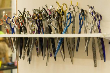 Makas pek kabin içinde paketlenmiştir