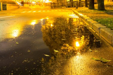 Sonbahar. Fener bir yansıması akşamları ile kaldırımda bir su birikintisi. Sonbahar hava.
