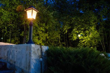 Parkta bitkiler etrafında sonbaharda gece lambaları.