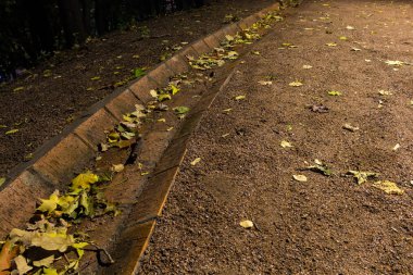 Gece yol su ile parkta deşarj ve sonbaharda yaprakları.