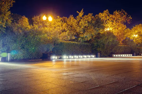 Camino Húmedo Otoño Con Luces Parque Por Noche — Foto de Stock