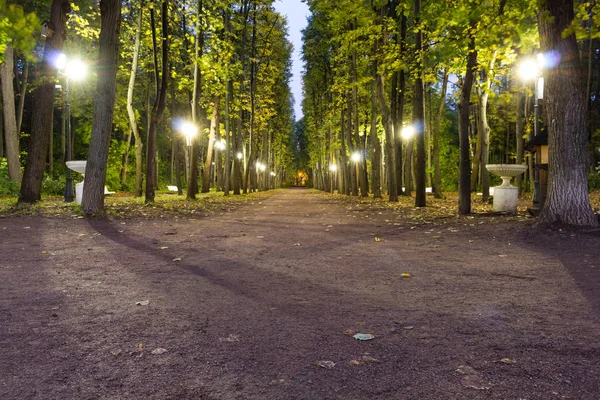 Strada Nel Parco Sera Con Luci Notturne Illuminate — Foto Stock