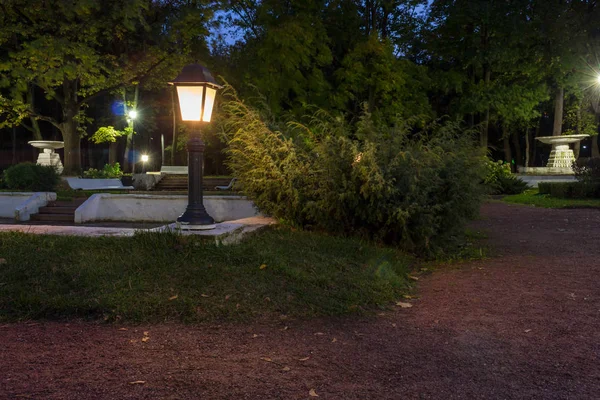 Lámparas Nocturnas Parque Otoño Alrededor Las Plantas —  Fotos de Stock