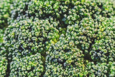 Brokoli lahana taze yeşillik bir ahşap pano portre üzerinde