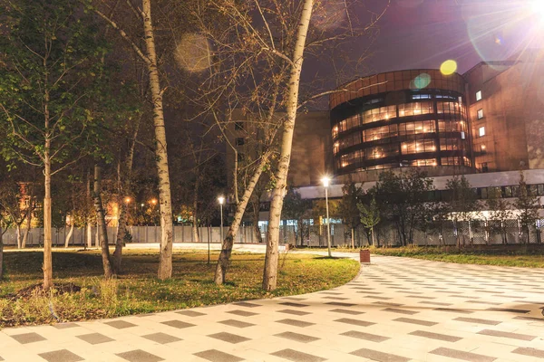 Ciudad Fondo Naturaleza Árboles Hierba Noche — Foto de Stock