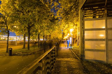 Parkta akşam ile ağaçlarda fenerler ışıklar. Sonbahar dönemi.