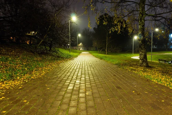 Sonbahar, sarı yapraklar taşıyla yoldan ıslak. Yağmur sonrası.