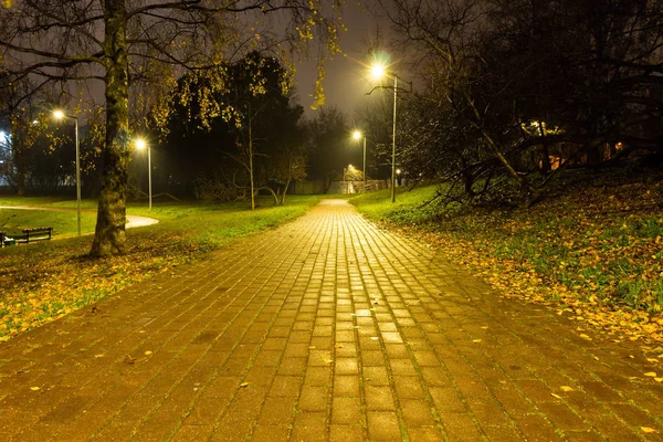 Sonbahar, sarı yapraklar taşıyla yoldan ıslak. Yağmur sonrası.