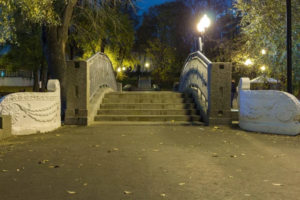 Puente Escalera Clásico Con Barandilla Hierro Parque Hora Tarde —  Fotos de Stock