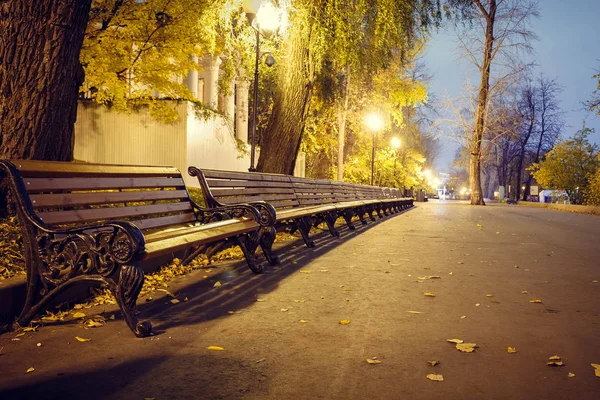 Panchine Marroni Prospettiva Nel Parco Ora Sera — Foto Stock