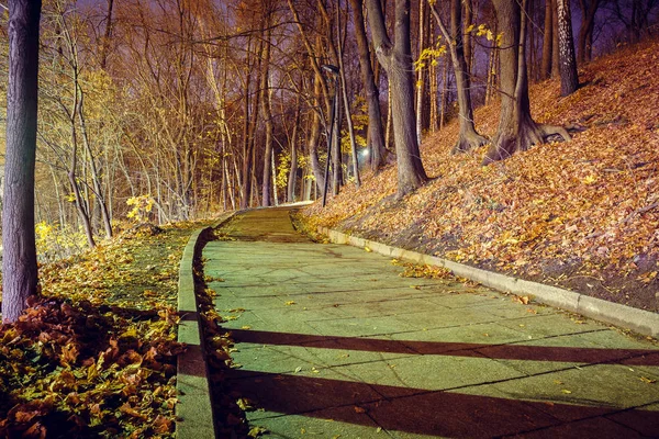 Autumn wet road from the tile with yellow leaves in park — Stock Photo, Image