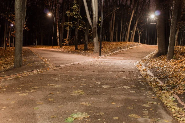 Autunno strada bagnata dalla piastrella con foglie gialle nel parco — Foto Stock