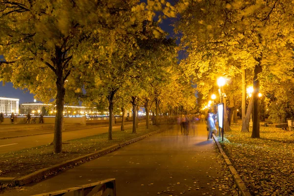 Árboles Parque Con Linternas Luces Noche Período Otoño —  Fotos de Stock