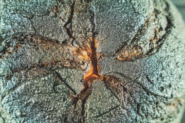 Topuz ile siyah bir kabuk yanmış. Kömür yakın çekim