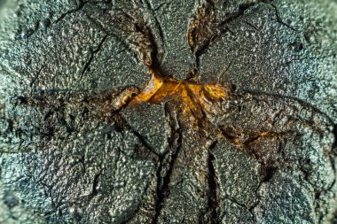 Topuz ile siyah bir kabuk yanmış. Kömür yakın çekim
