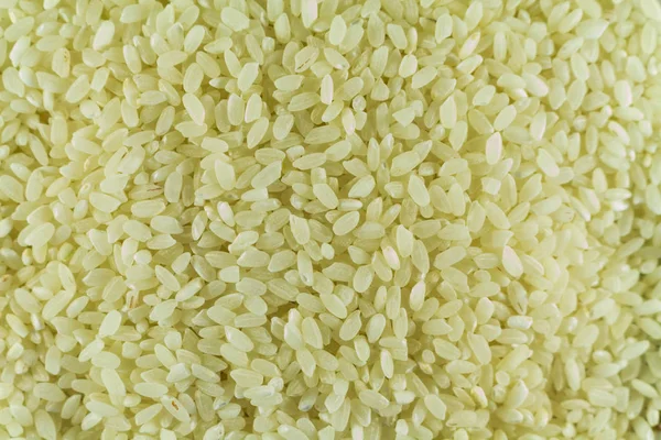 Witte Rijst Een Handvol Voor Hele Foto — Stockfoto