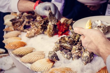 İstiridye ziyaretçi kurumsal elinde ile plakalar