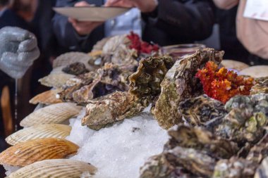 İstiridye ziyaretçi kurumsal elinde ile plakalar