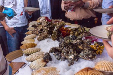 İstiridye ziyaretçi kurumsal elinde ile plakalar