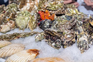 İstiridye baharat buz tablo ile. Kurumsal