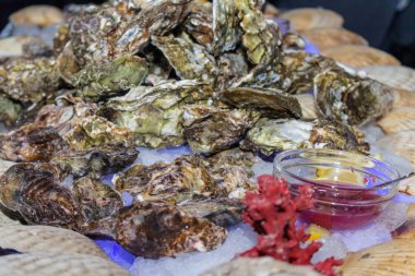 İstiridye baharat buz tablo ile. Kurumsal