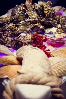 İstiridye baharat buz tablo ile. Kurumsal