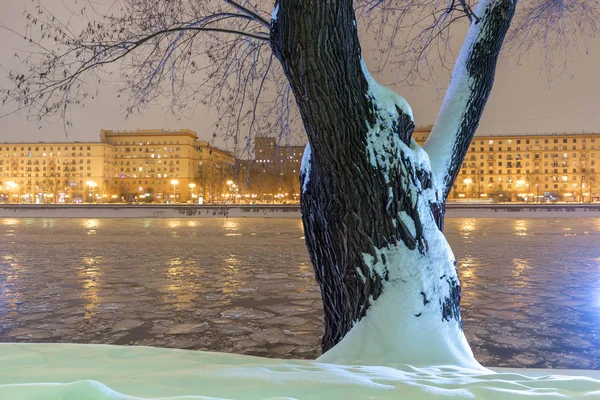 Boom in de sneeuw op de achtergrond van de rivier met ijs en de huizen van de stad in de avond — Stockfoto