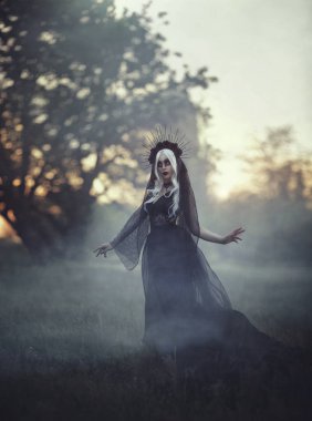 Bir taç ve siyah bir örtü, beyaz saçlı güzel kadın cadı bir sis içinde yürür. Gothick tarzı. Siyah gotik elbise siyah Prenses kız. Arka planı karanlık bir ormandır, çıplak ağaçlar .