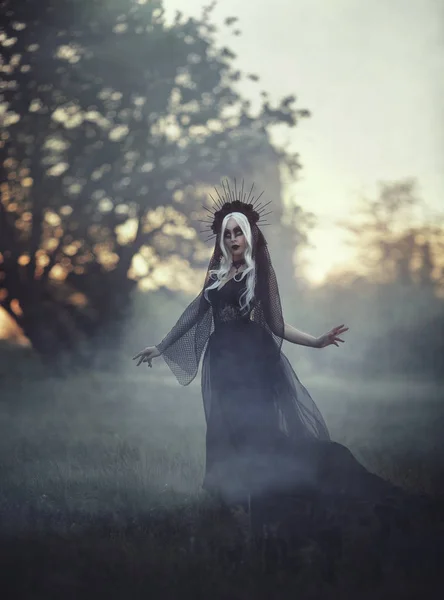 クラウンと黒いベールで白い髪の美人魔女は、霧の中で歩きます。重商主義のスタイル。少女は黒のゴシック ドレスで黒姫です。背景が暗い森、裸の木 . — ストック写真