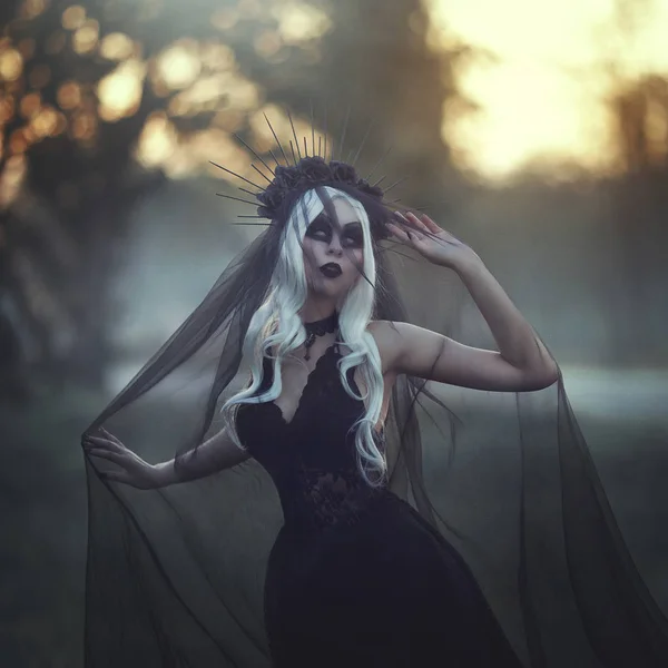 Portret van de heks van een mooie vrouw met witte haren in een kroon en een zwarte sluier, wandelen in de mist. Gothick stijl. Zwarte prinses bij zonsondergang. De achtergrond is een donker bos, kale bomen en rook. — Stockfoto