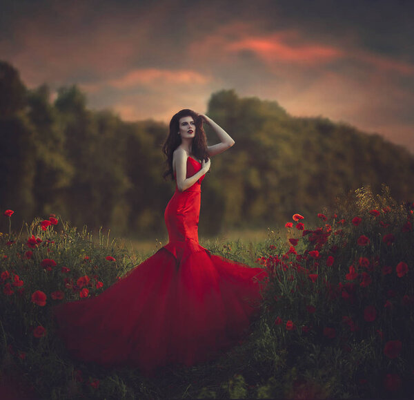 Beautiful sensual girl in a posh red dress posing on a poppy field. Summer poppy field at sunset. Art processing.