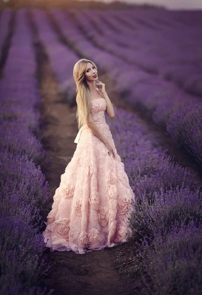 Hermosa chica sensual en el campo de lavanda al atardecer. Una mujer en un hermoso vestido rosa exuberante camina entre las flores de lavanda. Provenza . — Foto de Stock