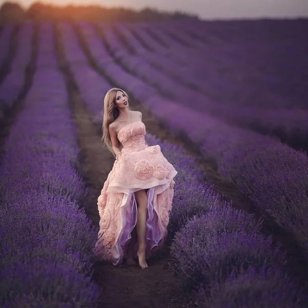 Gün batımında lavanta alanında güzel şehvetli kız. Bir muhteşem yemyeşil pembe elbiseli bir kadın lavanta çiçekleri arasında yürüyor. Provence. — Stok fotoğraf